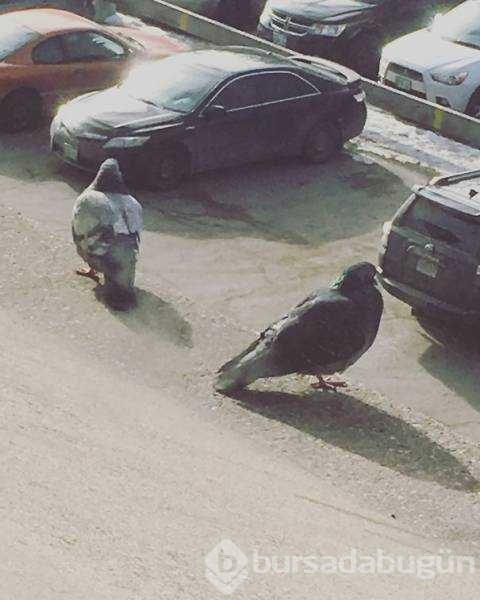 Günün en çok paylaşılan fotoğrafları