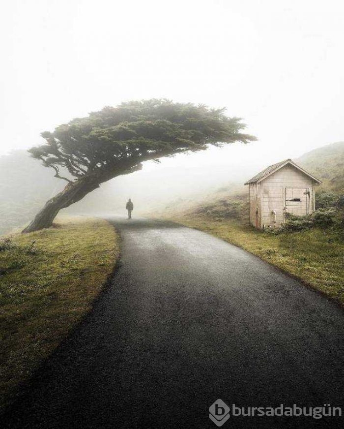 Günün en çok paylaşılan fotoğrafları