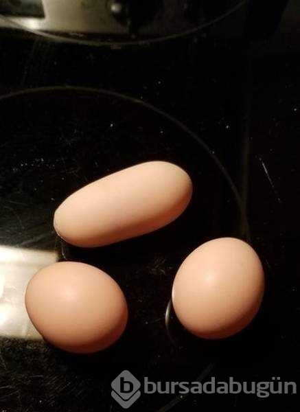 Günün en çok paylaşılan fotoğrafları