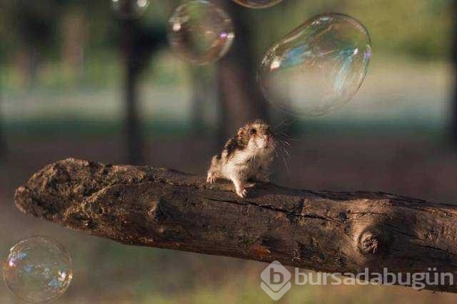 Günün en çok paylaşılan fotoğrafları