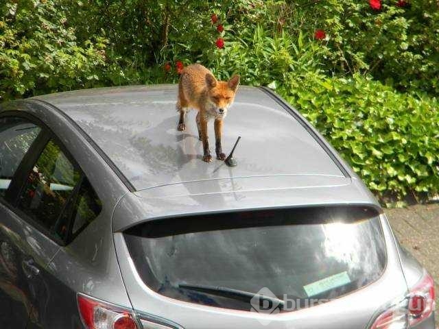 Günün en çok paylaşılan fotoğrafları
