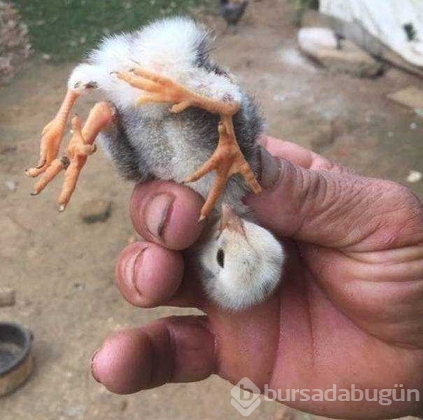 Günün en çok paylaşılan fotoğrafları