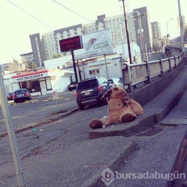 Günün en çok paylaşılan fotoğrafları