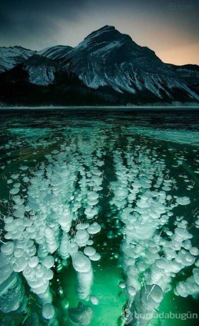 Günün en çok paylaşılan fotoğrafları