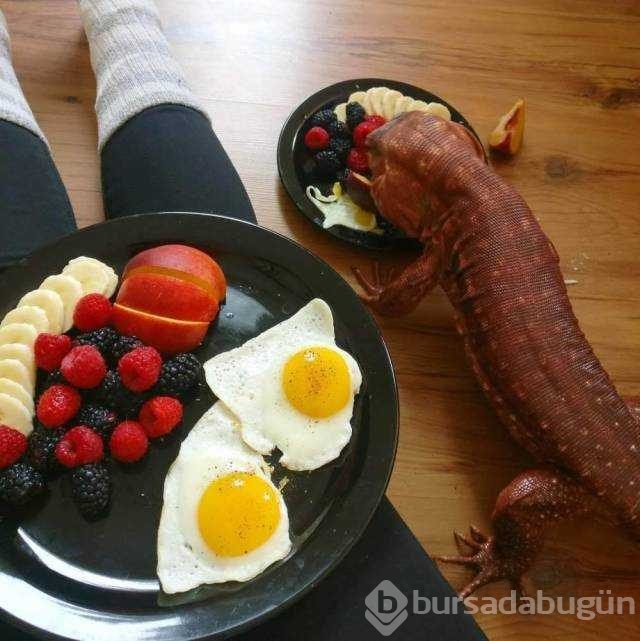 Günün en çok paylaşılan fotoğrafları