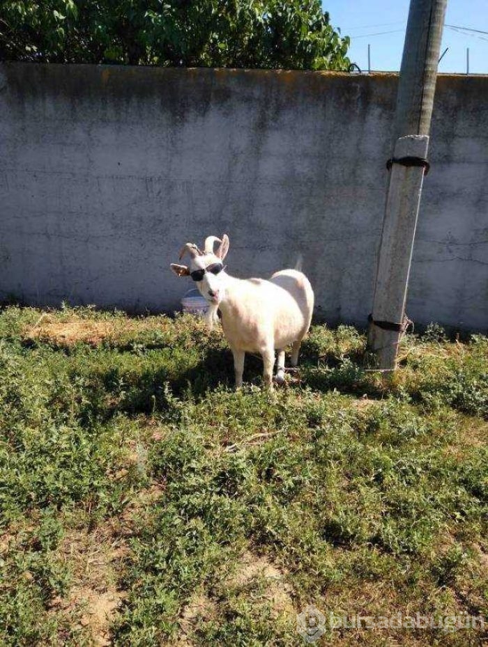 Günün en çok paylaşılan fotoğrafları