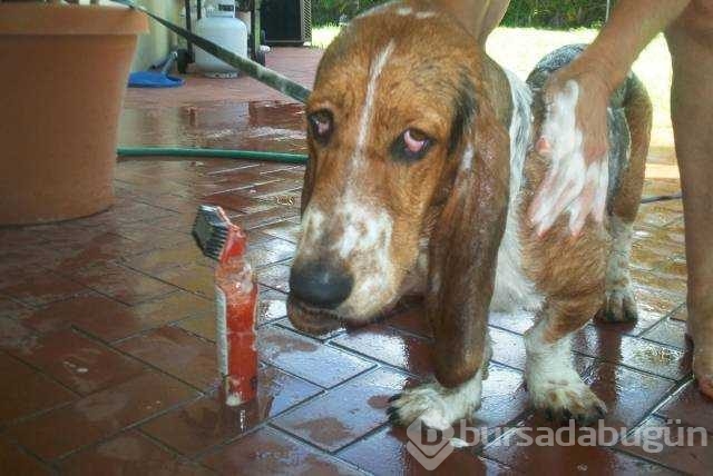 Günün en çok paylaşılan fotoğrafları