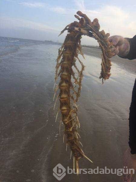 Günün en çok paylaşılan fotoğrafları