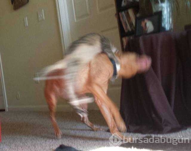 Günün en çok paylaşılan fotoğrafları