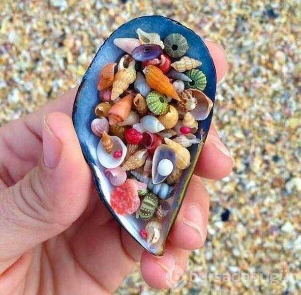 Günün en çok paylaşılan fotoğrafları