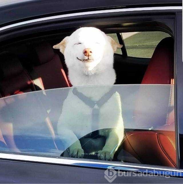 Günün en çok paylaşılan fotoğrafları