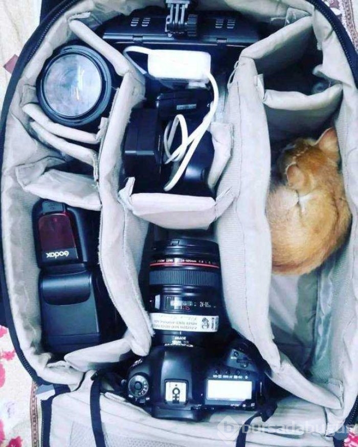 Günün en çok paylaşılan fotoğrafları