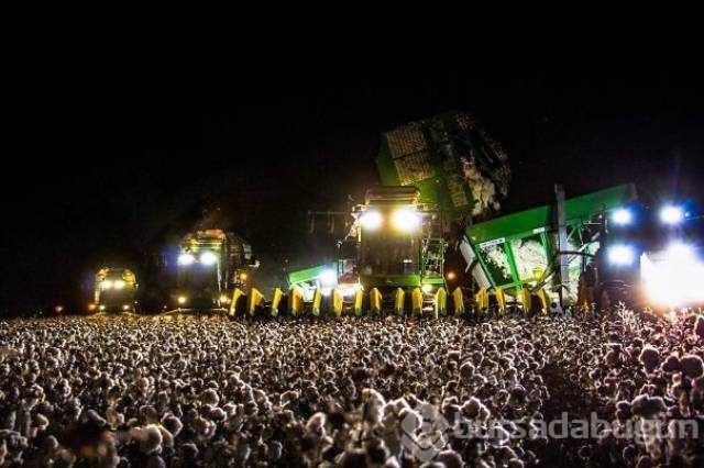 Günün en çok paylaşılan fotoğrafları