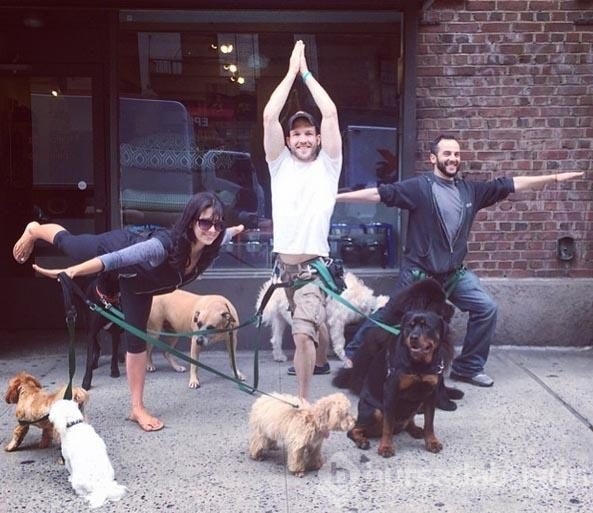 Onun için her yer yoga!
