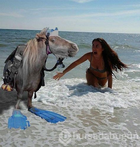 Photoshop kurbanları