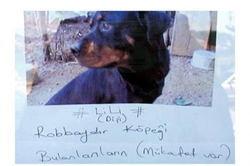 Esnaflardan güldüren tabelalar
