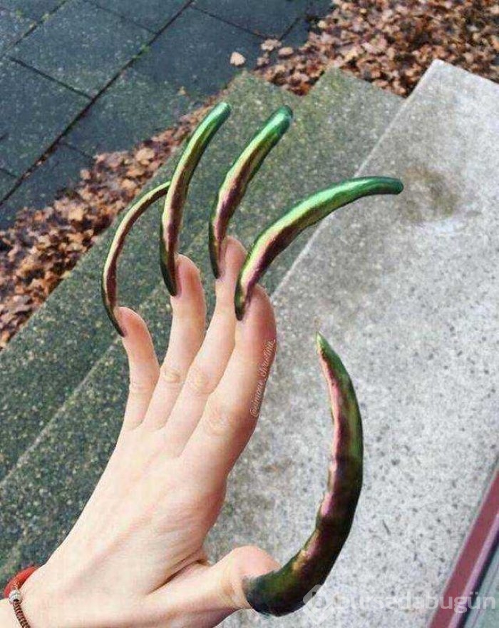 Günün en çok paylaşılan fotoğrafları