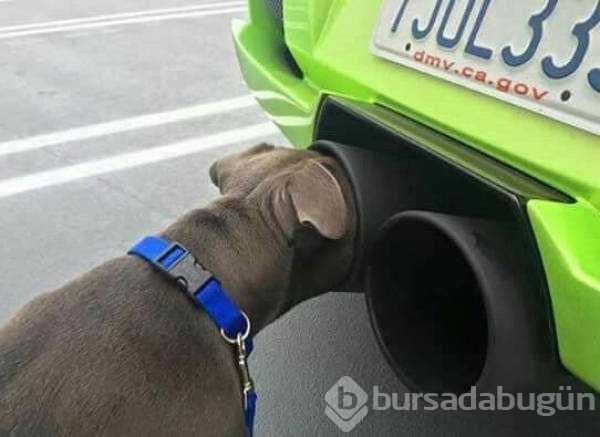 Günün en çok paylaşılan fotoğrafları