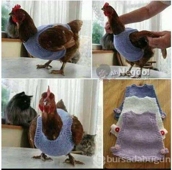 Günün en çok paylaşılan fotoğrafları