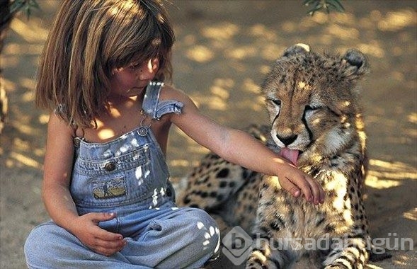 Kardeşi fil, en yakın arkadaşı leopar