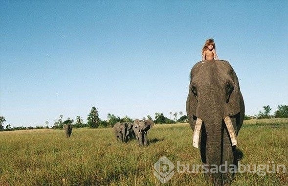 Kardeşi fil, en yakın arkadaşı leopar