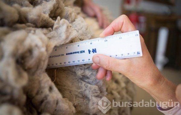 Böylesini görmüş müydünüz?