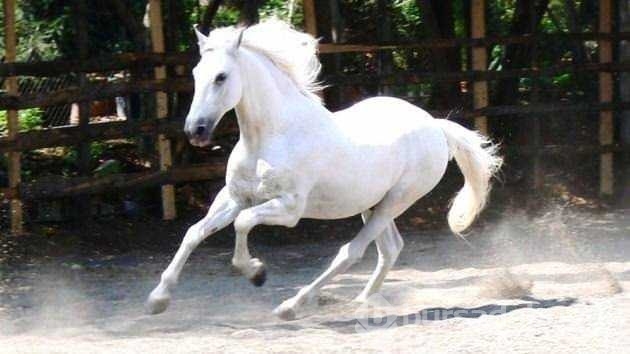 İlk kez dutyacağınız dünyanın en ilginç bilgileri