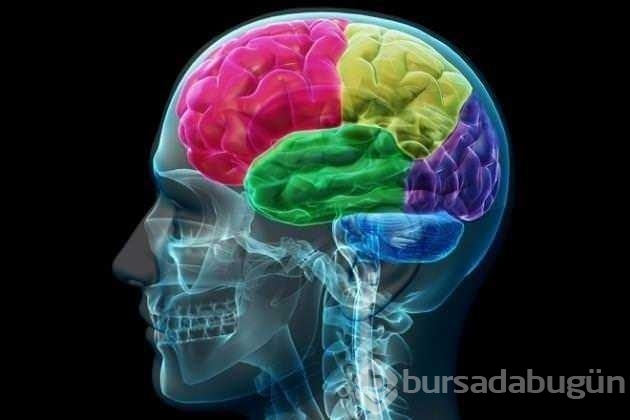 İlk kez dutyacağınız dünyanın en ilginç bilgileri