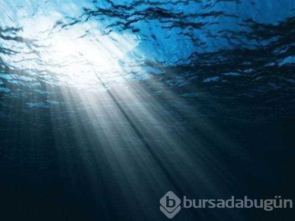 İlk kez dutyacağınız dünyanın en ilginç bilgileri