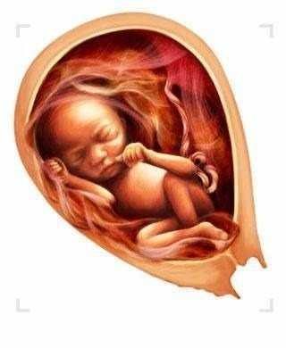 İlk kez dutyacağınız dünyanın en ilginç bilgileri