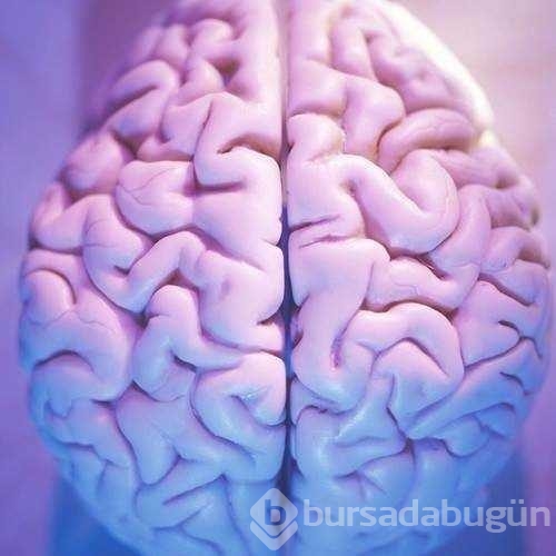 İlk kez dutyacağınız dünyanın en ilginç bilgileri