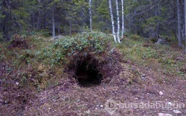 İlk kez dutyacağınız dünyanın en ilginç bilgileri