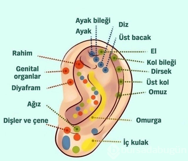 Kulaktaki küçük delikler ne anlama geliyor?
