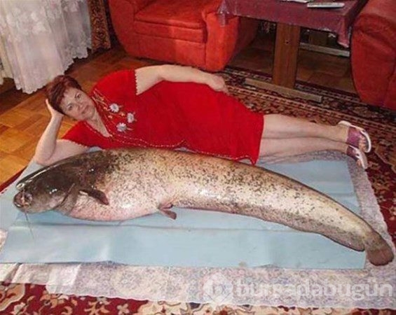 Seksi olmak isterken rezil oldular