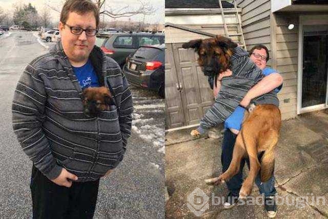 Birer canavara dönüşen sevimli köpekler