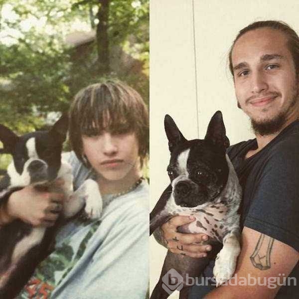 Birer canavara dönüşen sevimli köpekler