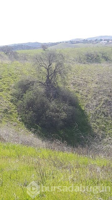 Anlamak için daha dikkatli bakmanız gerek