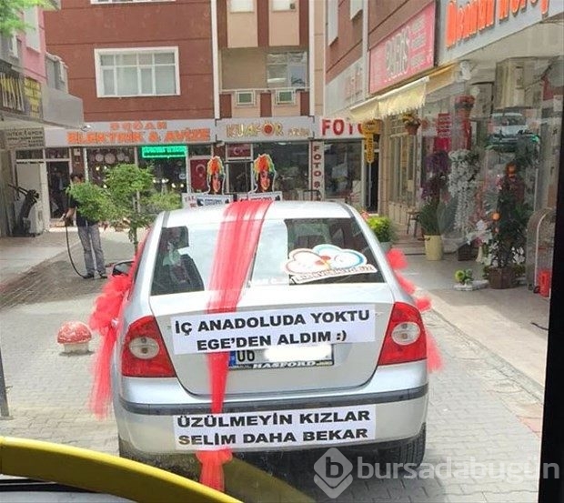 En komik araç yazıları