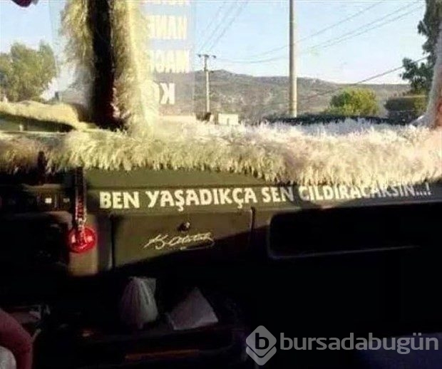En komik araç yazıları