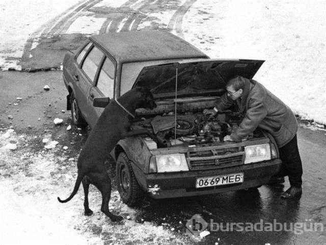 Günün en çok paylaşılan fotoğrafları