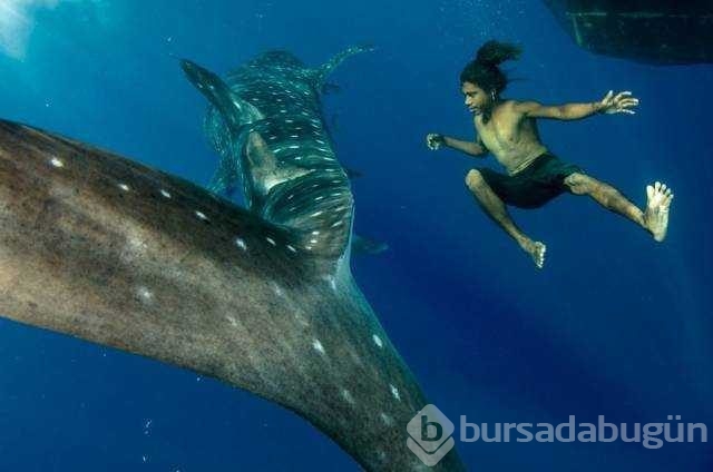 Günün en çok paylaşılan fotoğrafları
