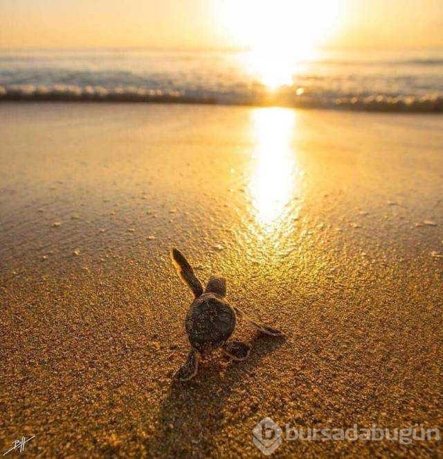 Günün en çok paylaşılan fotoğrafları