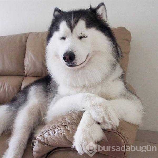 Günün en çok paylaşılan fotoğrafları