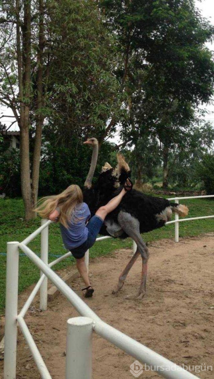 Günün en çok paylaşılan fotoğrafları