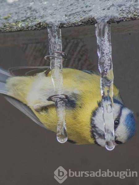 Günün en çok paylaşılan fotoğrafları