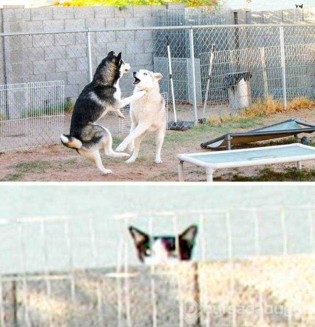 Günün en çok paylaşılan fotoğrafları