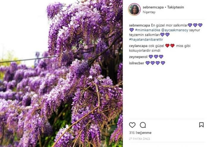 Ünlülerin Instagram paylaşımları (11.04.2018)
