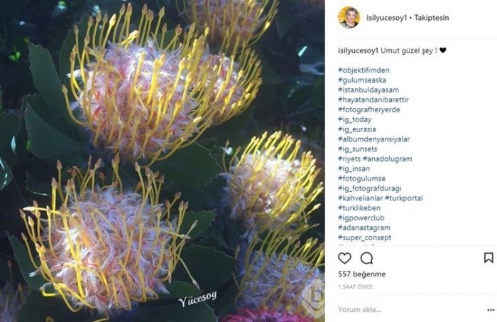 Ünlülerin Instagram paylaşımları (11.04.2018)
