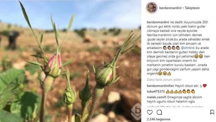 Ünlülerin Instagram paylaşımları (11.04.2018)
