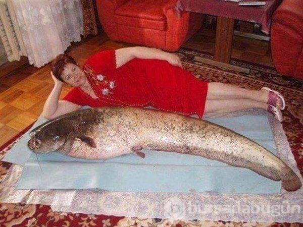 Rusya`da görebileceğiniz kareler